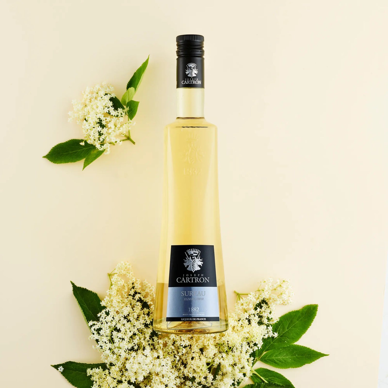 A tall bottle of Cartron Sureau (Elderflower) Liqueur 700 ml stands upright on a pale background, surrounded by blooming Austrian elderflowers and green leaves.