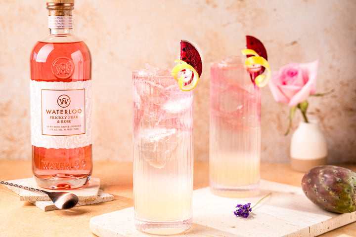 A bottle of Waterloo Gin’s Prickly Pear & Rose sits next to two tall cocktails with dragon fruit and lemon twists; a spoon, prickly pear, and pink rose in a vase complete the scene.