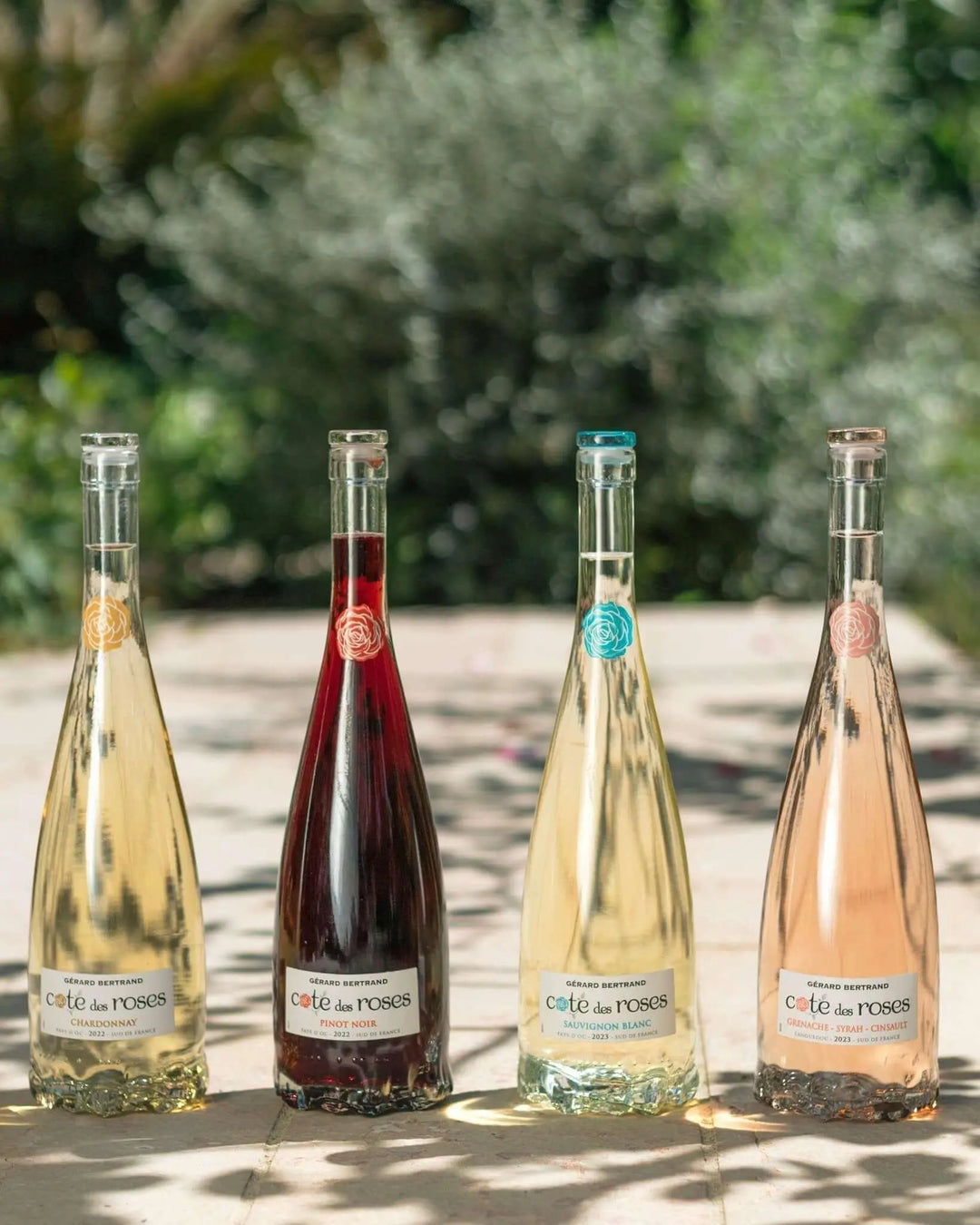 Cote des Roses Pinot noir (750ml) - Main Street Liquor