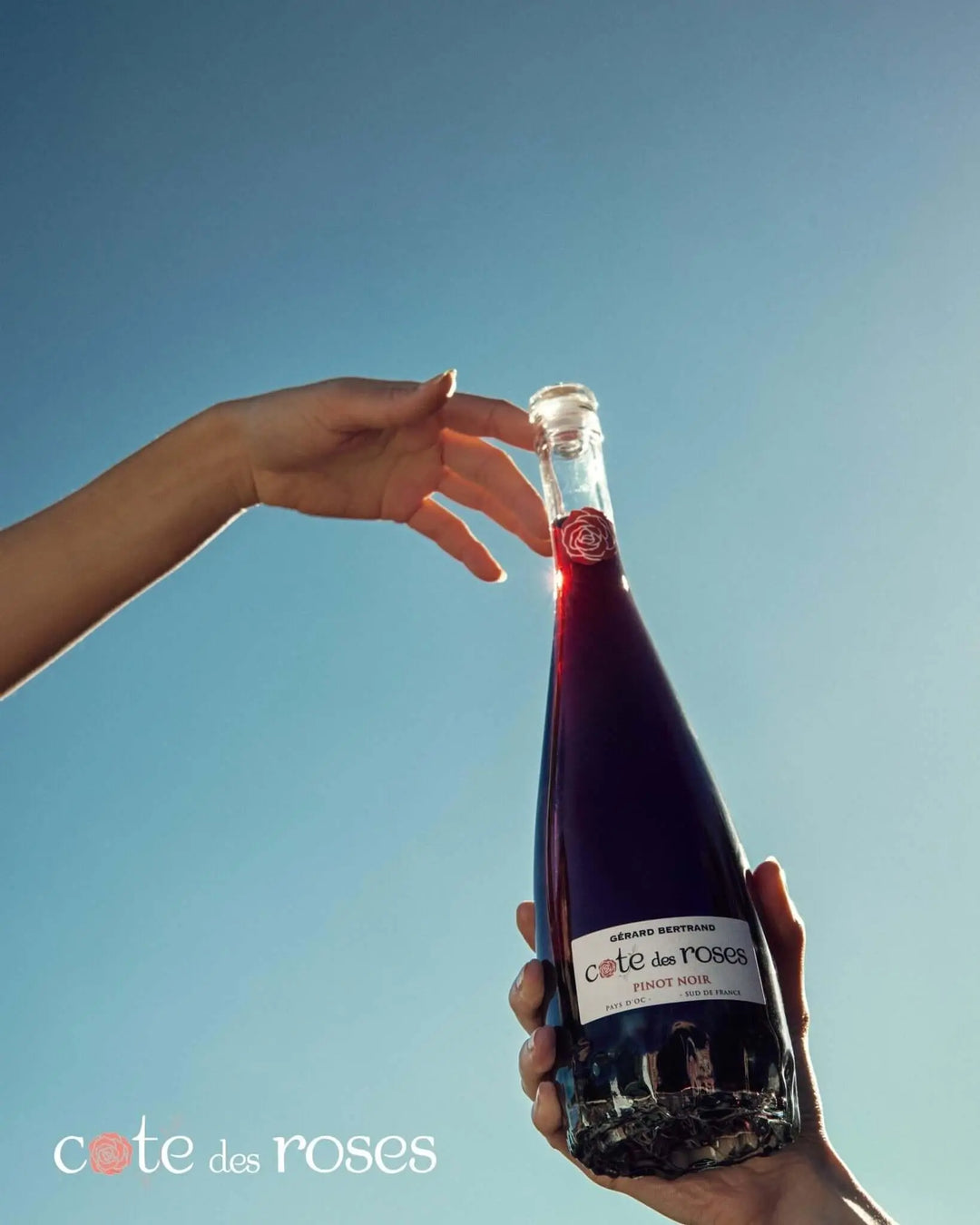 Cote des Roses Pinot noir (750ml) - Main Street Liquor