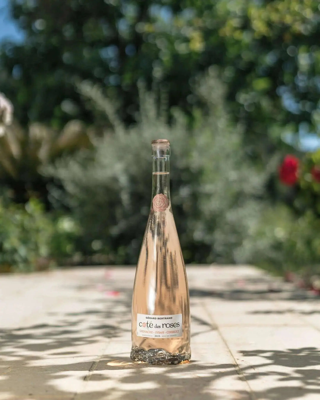 Cote des Roses rosé Magnum (1,5L) - Main Street Liquor