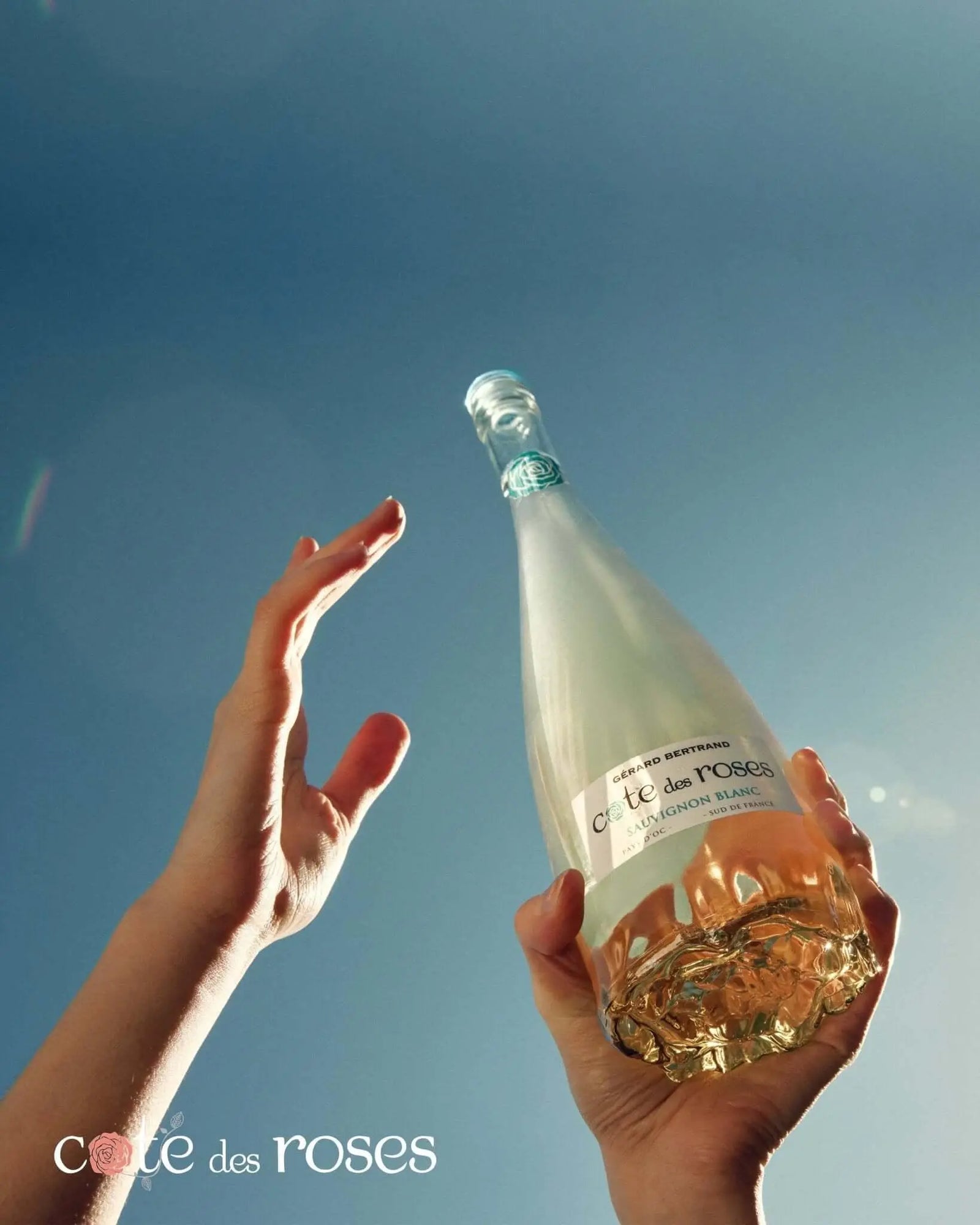 Cote des Roses sauvignon blanc - Main Street Liquor