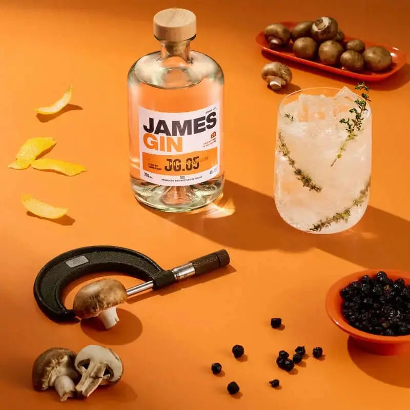 James Gin California Dreamgin' W/ Souvenir Gift Key Chain - Main Street Liquor
