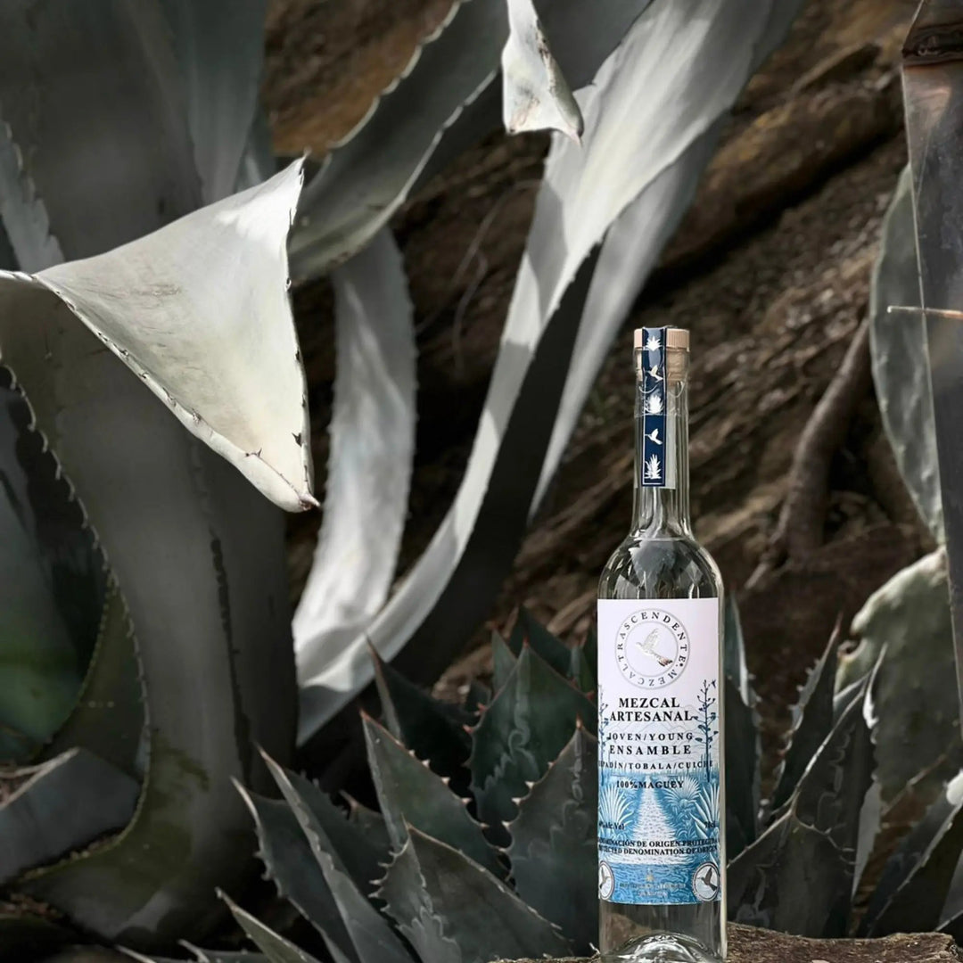 Mezcal Trascendente Ensamble 700ml - Main Street Liquor