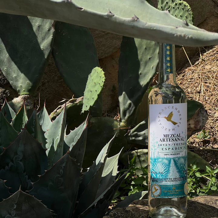 Mezcal Trascendente Espadin Selecto 700ml - Main Street Liquor