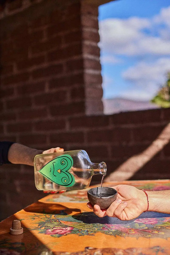 Agua-de-Cora-LA-TIERRA-3