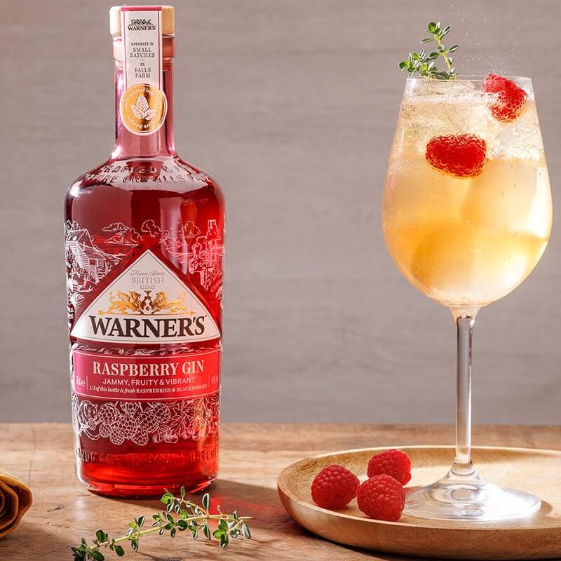 Load image into Gallery viewer, Warner&#39;s RASPBERRY GIN - Main Street Liquor
